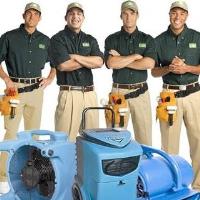 MIC Carpet & Upholstery Cleaning Torrance image 4